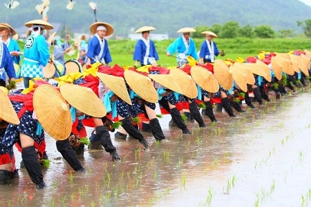 封面.jpg